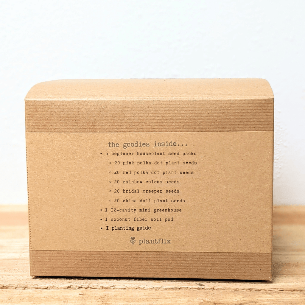 Hause Plants Seed Kit