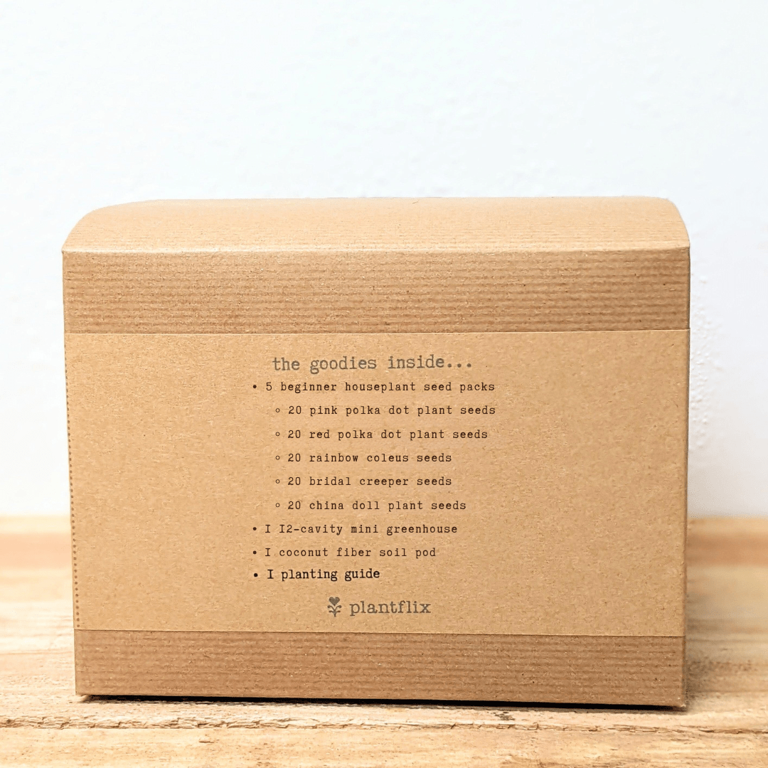Hause Plants Seed Kit