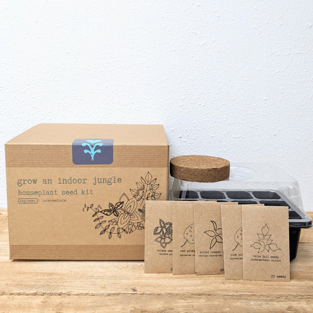 Hause Plants Seed Kit