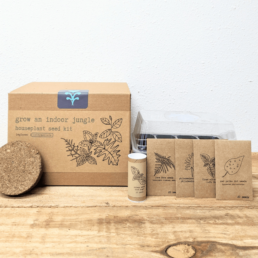 Hause Plants Seed Kit