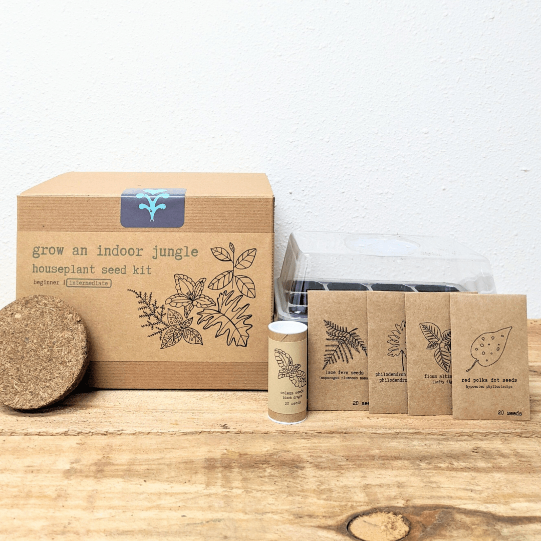 Hause Plants Seed Kit