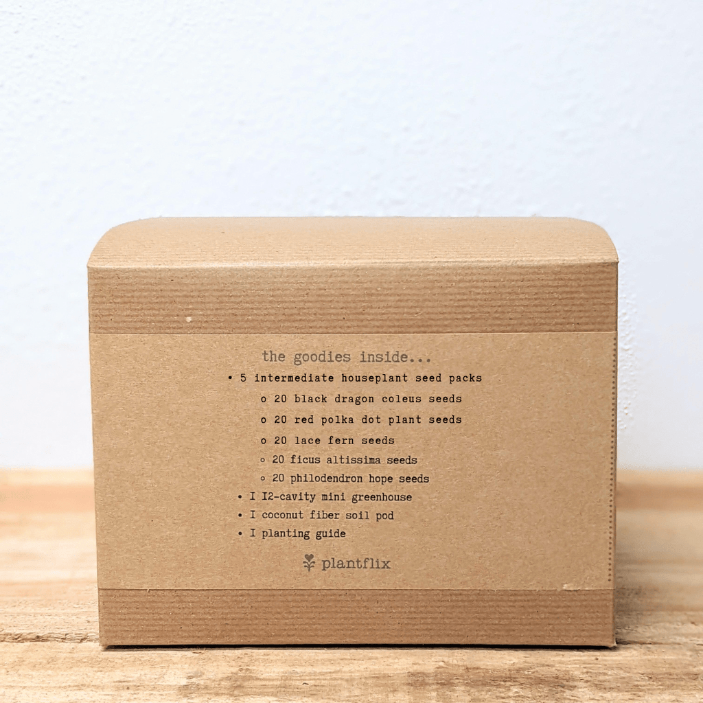 Hause Plants Seed Kit