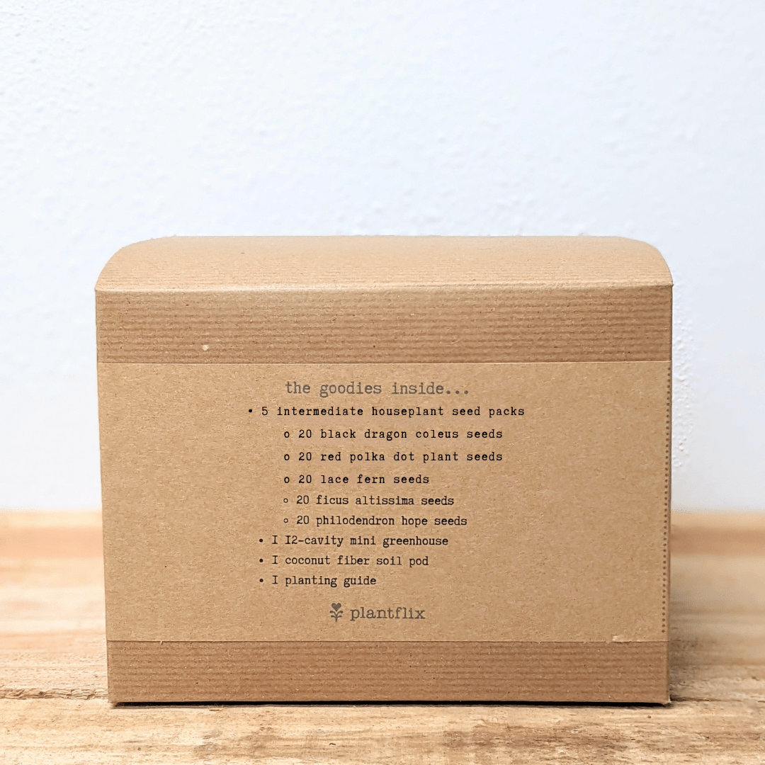 Hause Plants Seed Kit