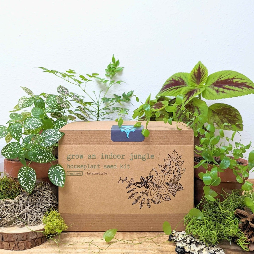 Hause Plants Seed Kit