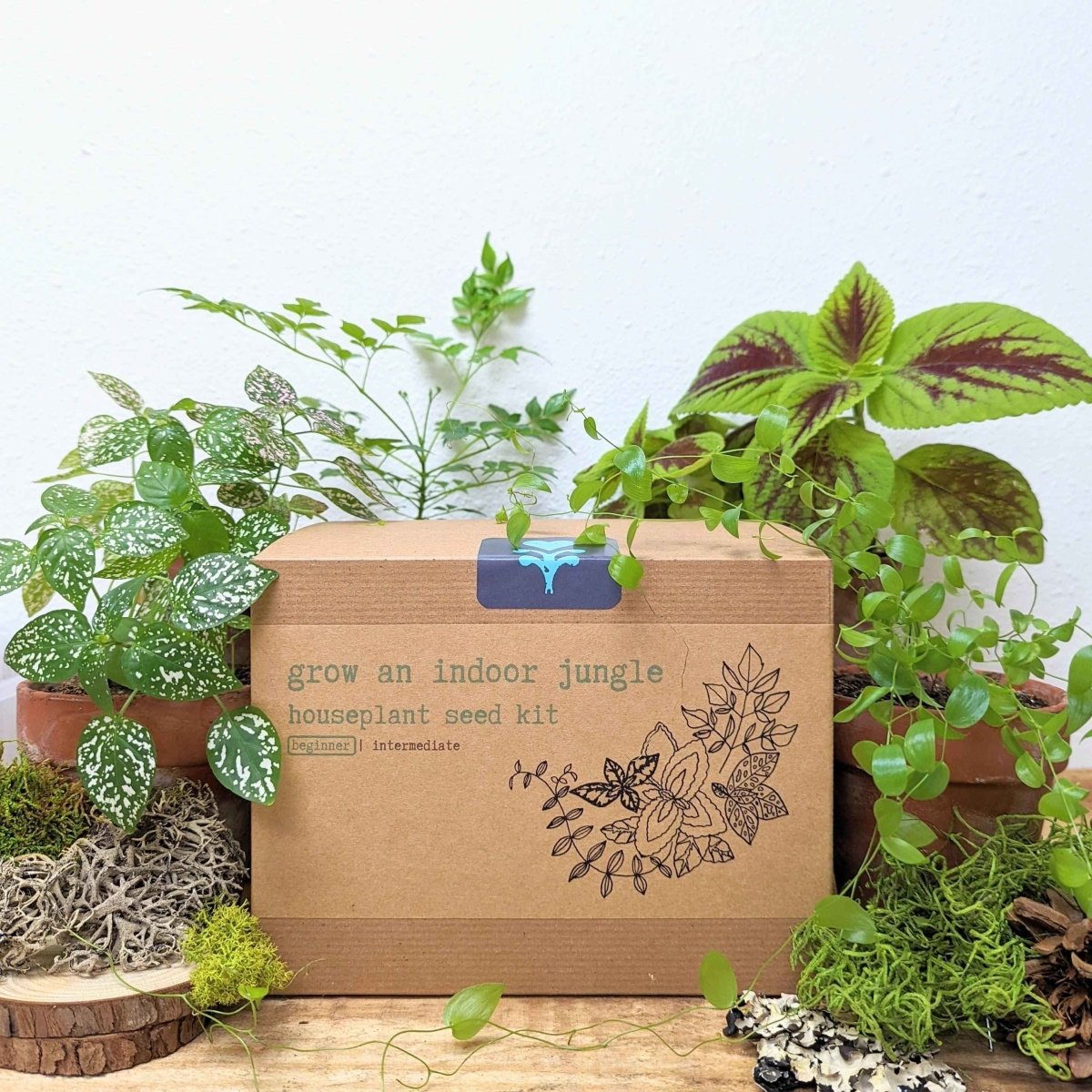 Hause Plants Seed Kit